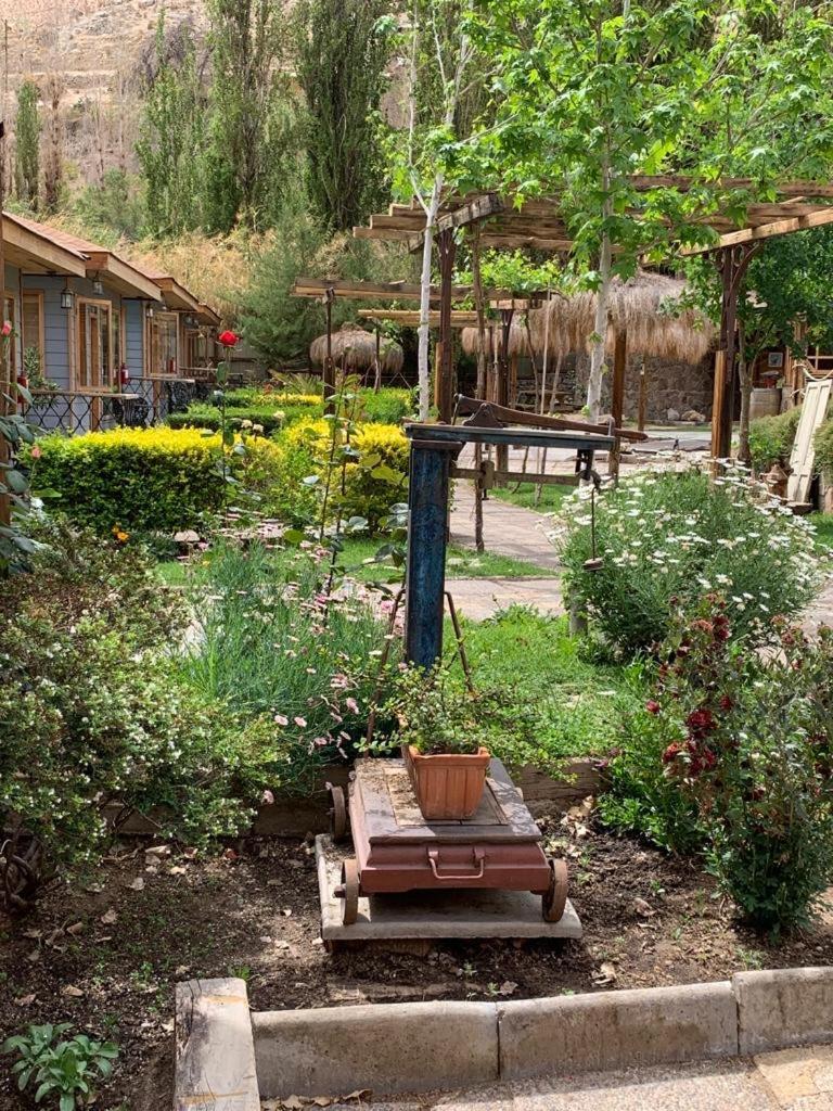 Cabañas Faro del Valle Писко Елки Екстериор снимка